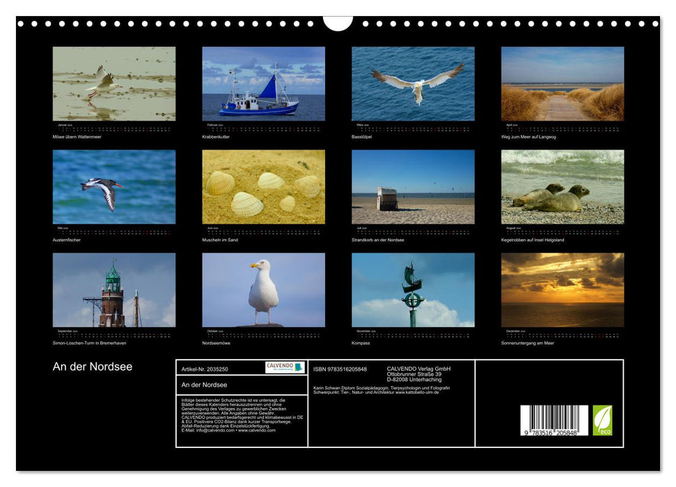 An der Nordsee (CALVENDO Wandkalender 2026)
