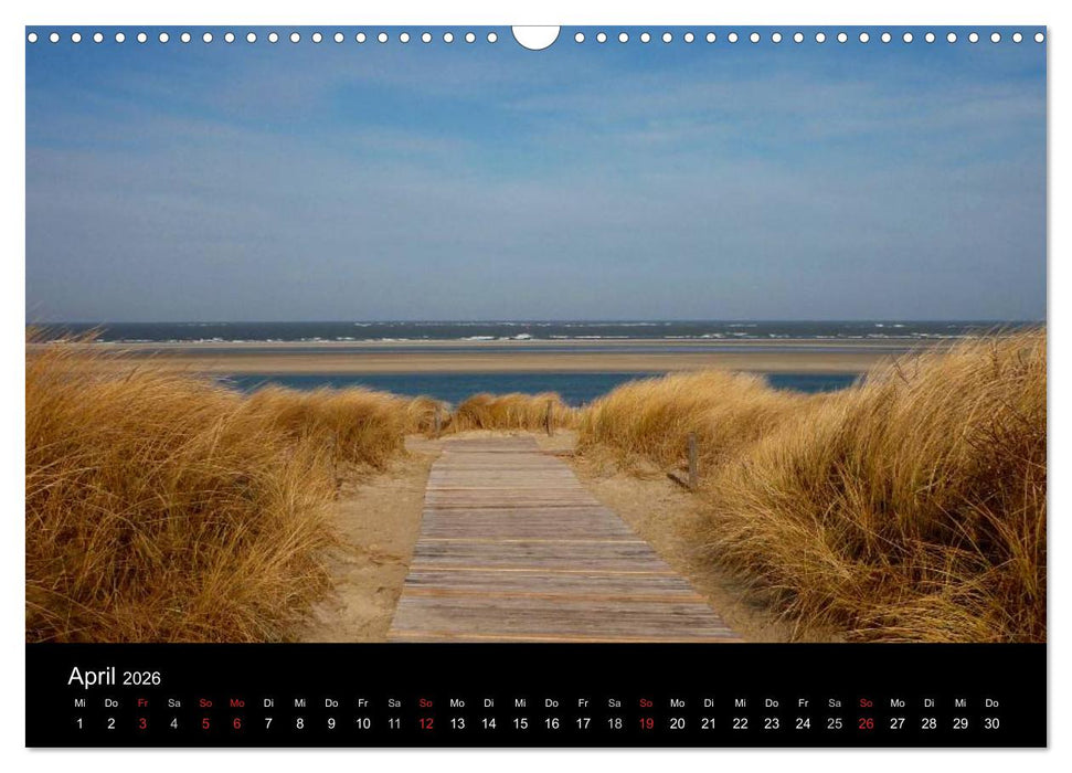 An der Nordsee (CALVENDO Wandkalender 2026)