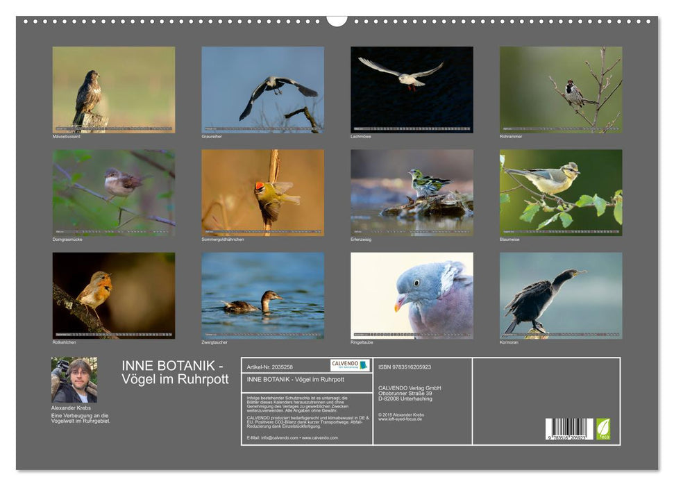 INNE BOTANIK - Vögel im Ruhrpott (CALVENDO Wandkalender 2026)