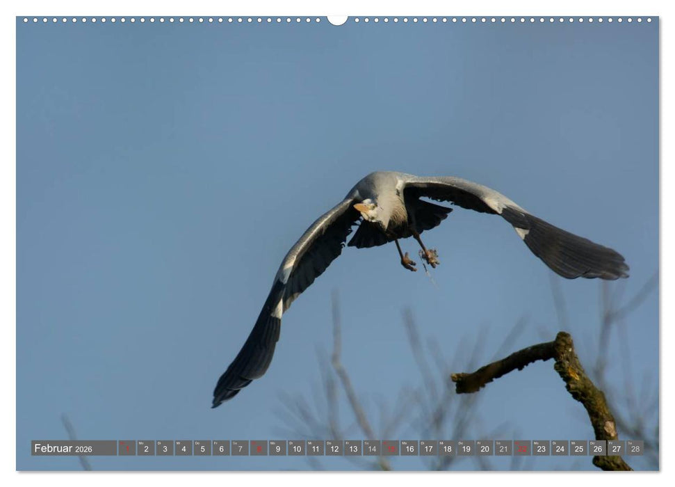 INNE BOTANIK - Vögel im Ruhrpott (CALVENDO Wandkalender 2026)