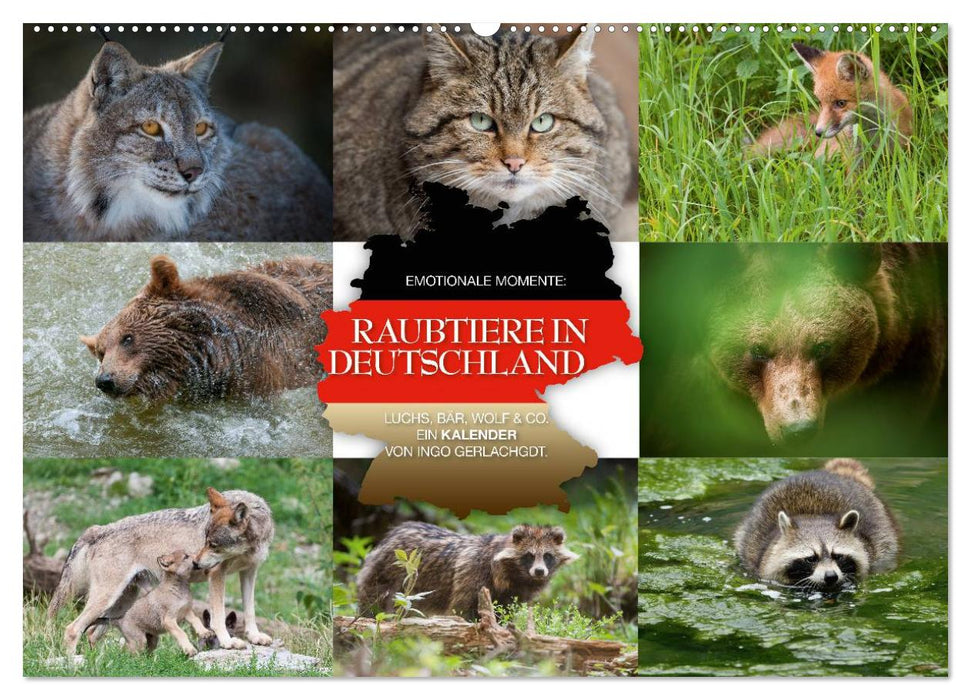 Emotionale Momente: Raubtiere in Deutschland (CALVENDO Wandkalender 2026)