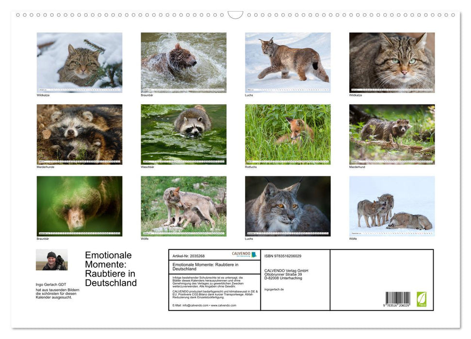 Emotionale Momente: Raubtiere in Deutschland (CALVENDO Wandkalender 2026)