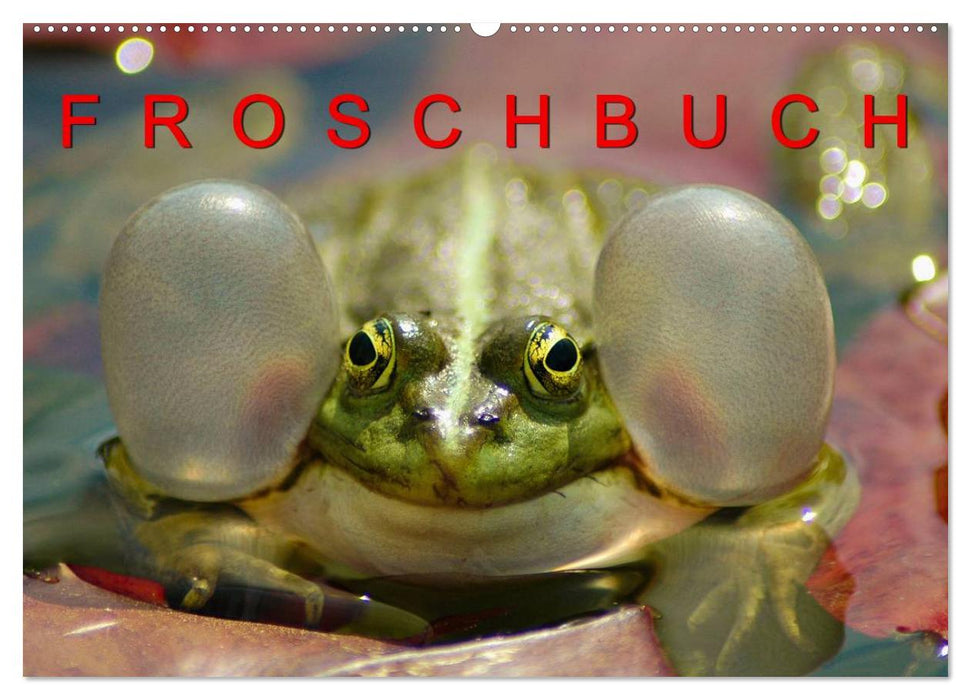 FROSCHBUCH (CALVENDO Wandkalender 2026)