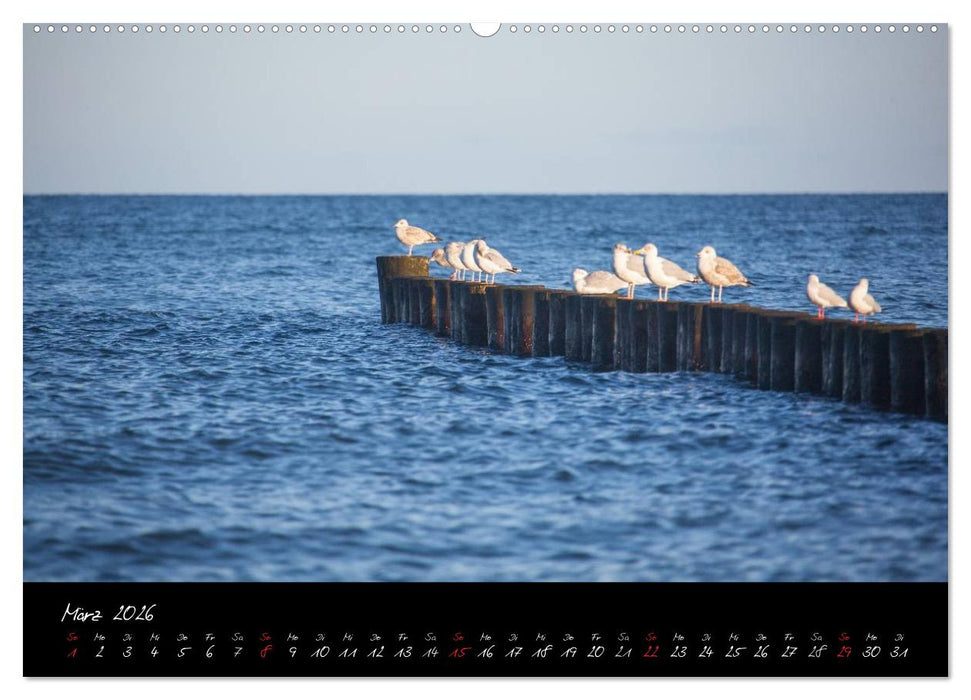 Rügen-Impressionen (CALVENDO Premium Wandkalender 2026)