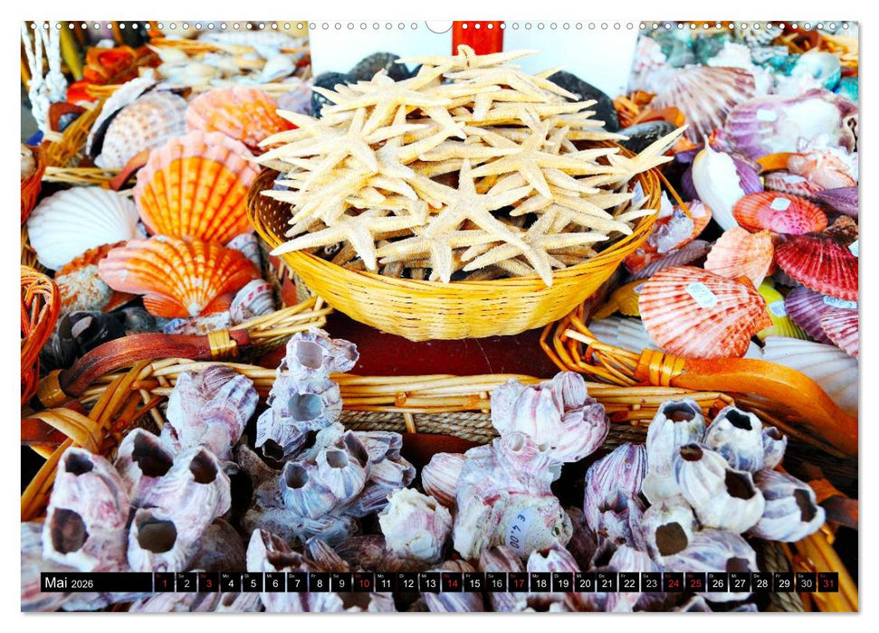 Insel Lefkas (CALVENDO Wandkalender 2026)