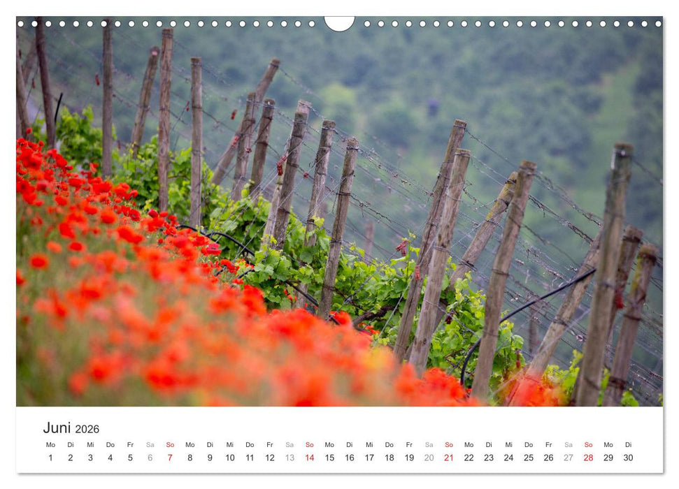 Malerisches Mainfranken (CALVENDO Wandkalender 2026)