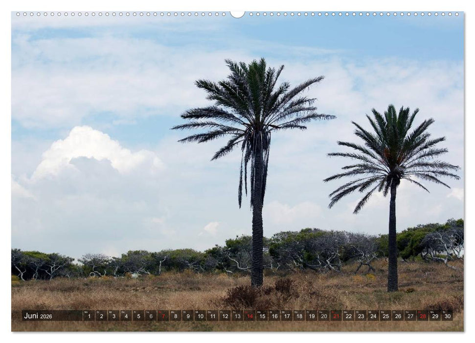 Unterwegs an der Costa Blanca (CALVENDO Wandkalender 2026)