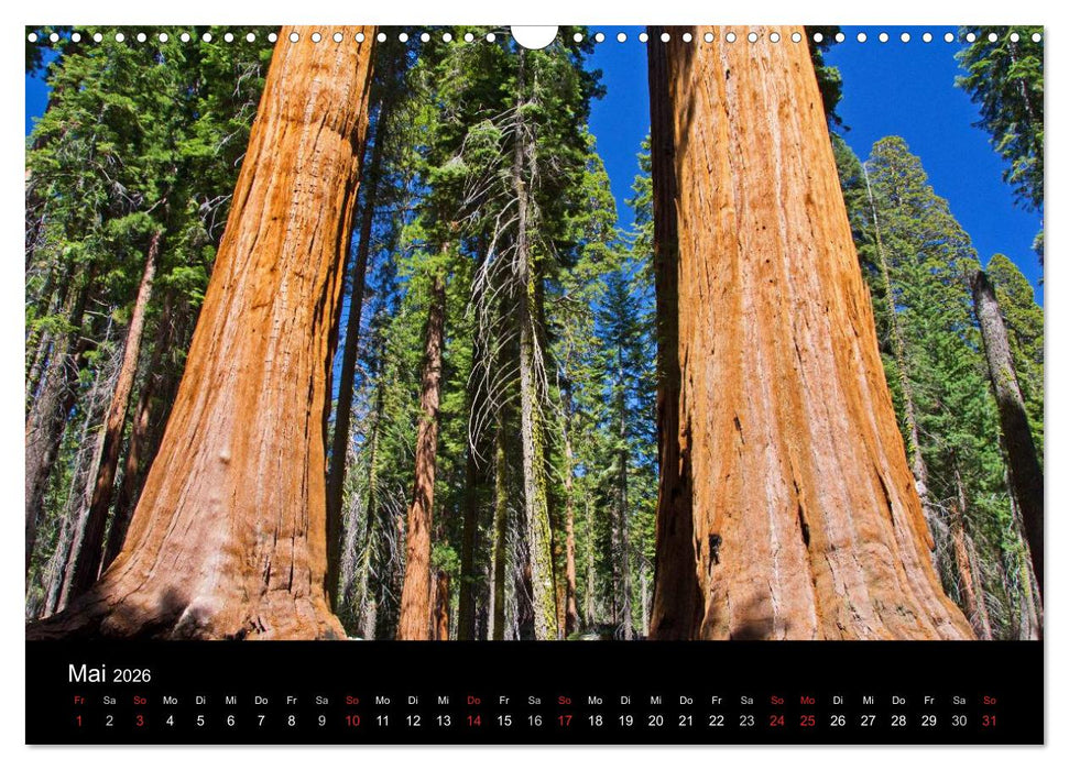 USA Landscapes (CALVENDO Wandkalender 2026)