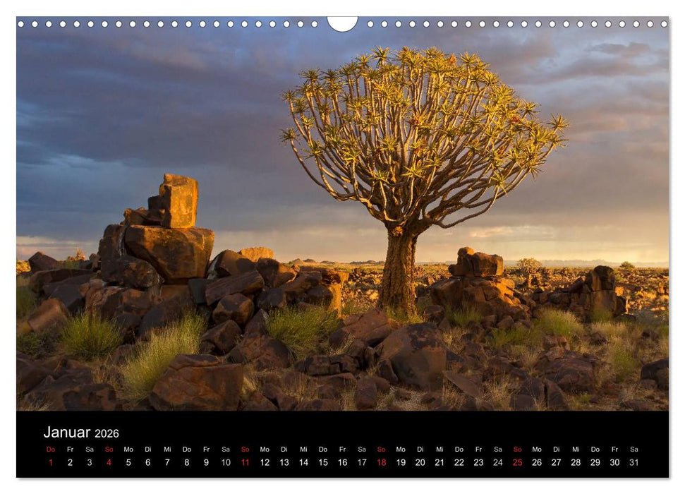 Fantastisches Namibia (CALVENDO Wandkalender 2026)