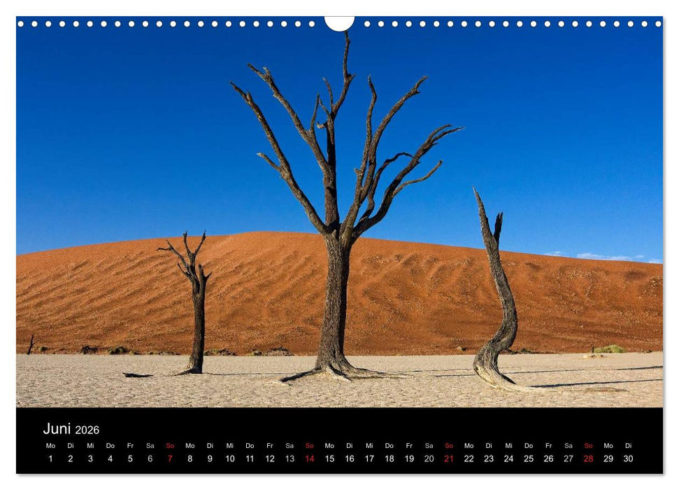 Fantastisches Namibia (CALVENDO Wandkalender 2026)