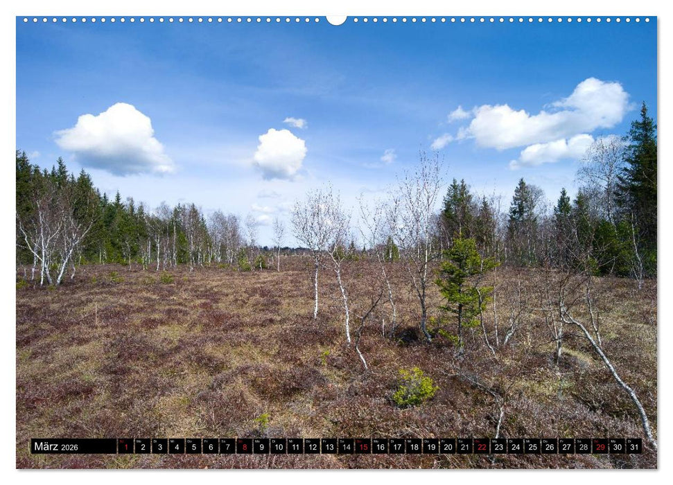 Tölzer Land und Blaues Land: Seelenlandschaften (CALVENDO Wandkalender 2026)
