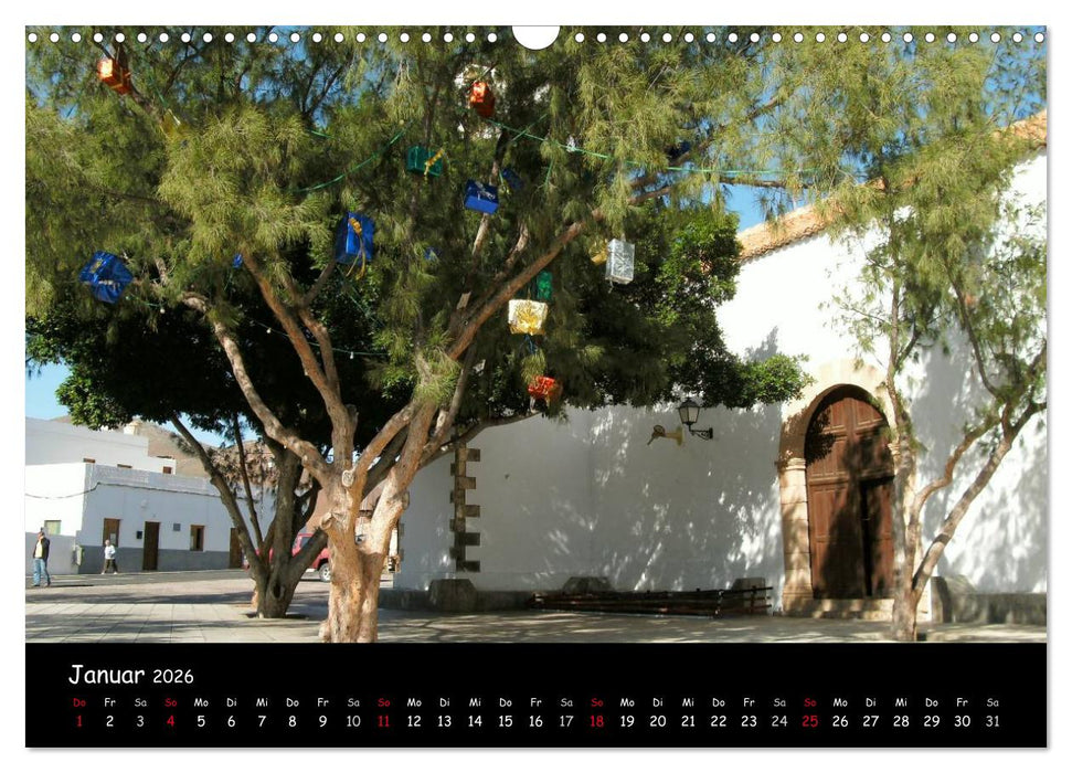 Fuerteventura - karge Schönheit (CALVENDO Wandkalender 2026)