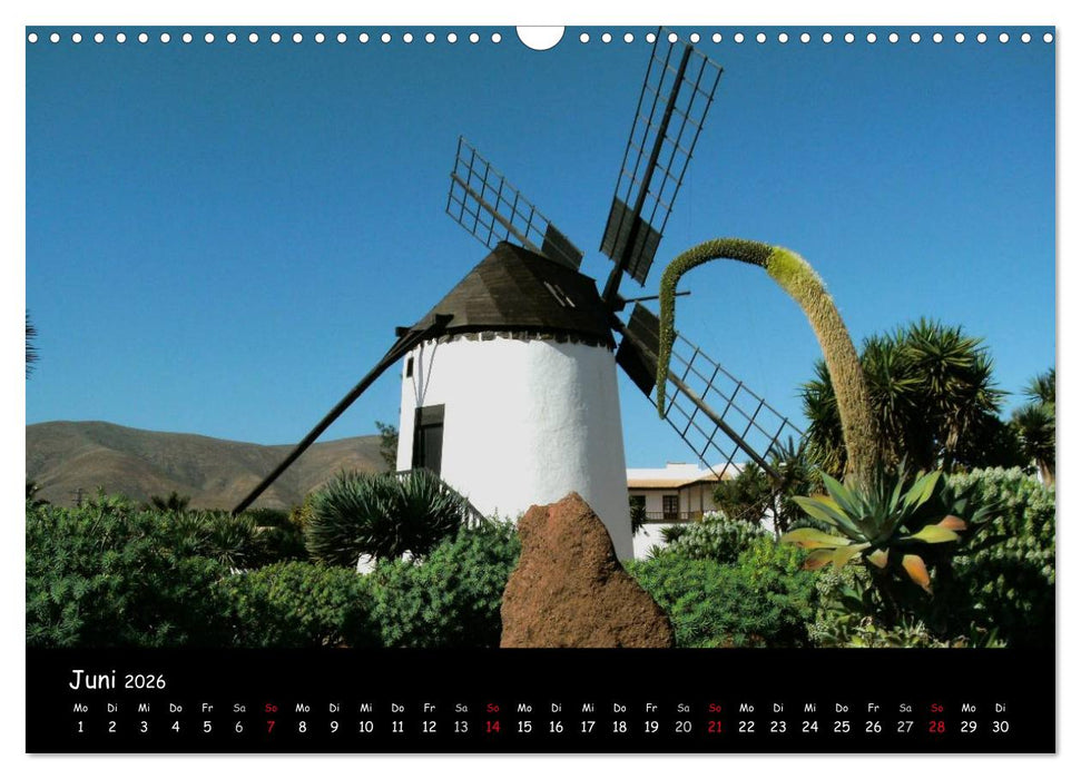 Fuerteventura - karge Schönheit (CALVENDO Wandkalender 2026)