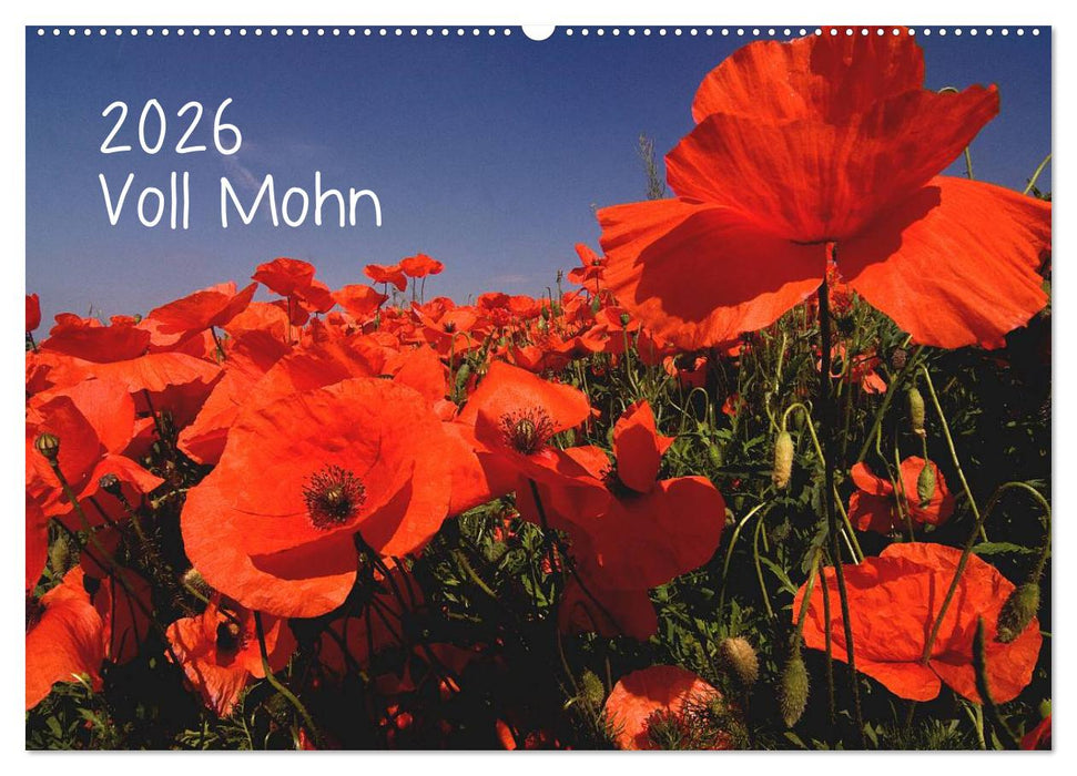 Voll Mohn (CALVENDO Wandkalender 2026)