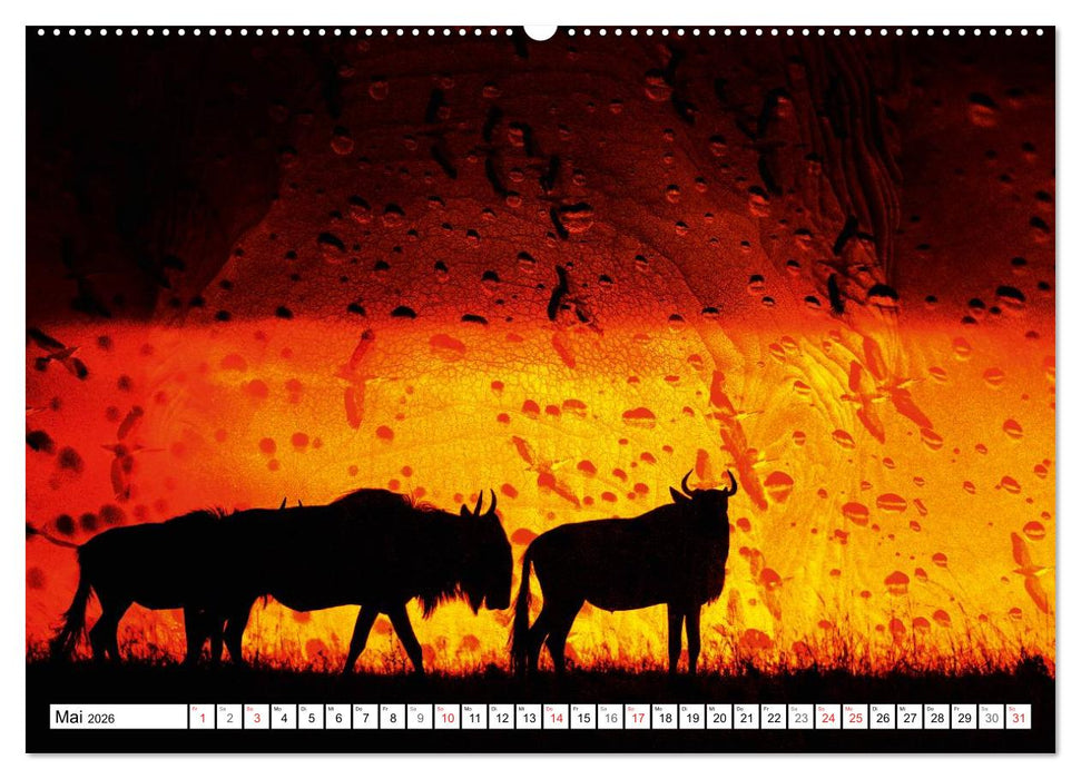 Emotionale Momente: African Dreams (CALVENDO Wandkalender 2026)
