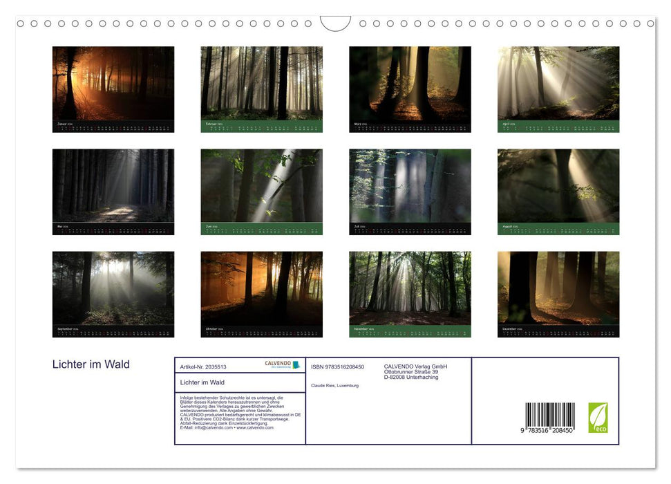 Lichter im Wald (CALVENDO Wandkalender 2026)