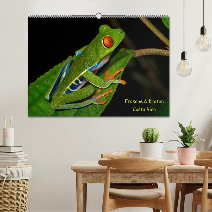 Frösche & Kröten Costa Rica (CALVENDO Wandkalender 2026)