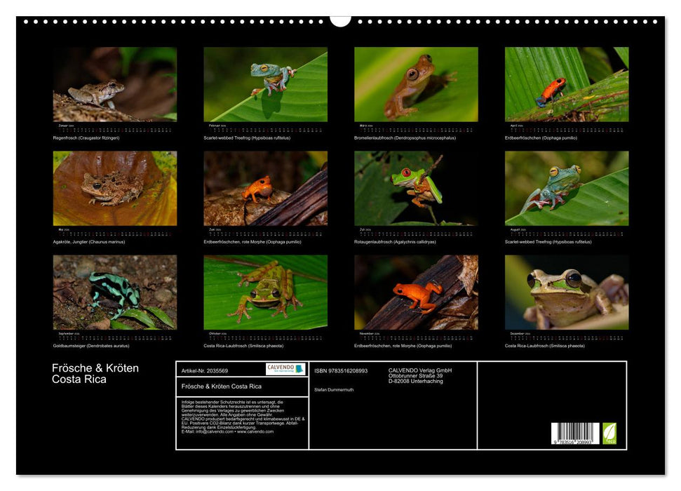Frösche & Kröten Costa Rica (CALVENDO Wandkalender 2026)