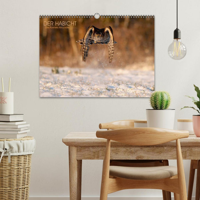 DER HABICHT, Des Falkners Allrounder (CALVENDO Wandkalender 2026)