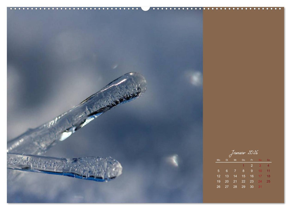 Bauernregeln für das ganze Jahr (CALVENDO Premium Wandkalender 2026)