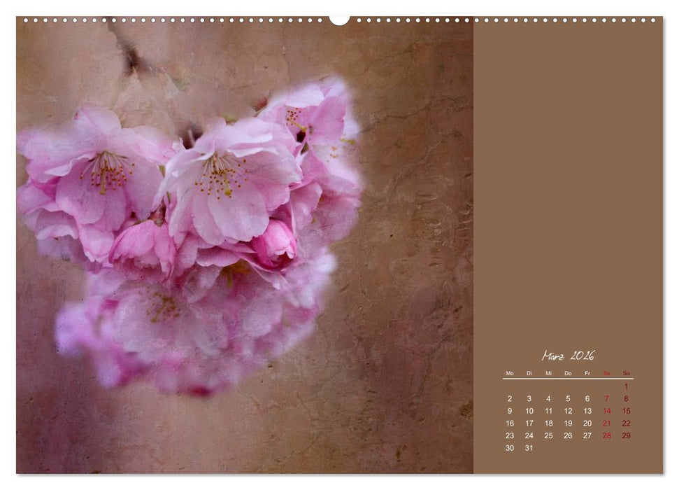 Bauernregeln für das ganze Jahr (CALVENDO Premium Wandkalender 2026)