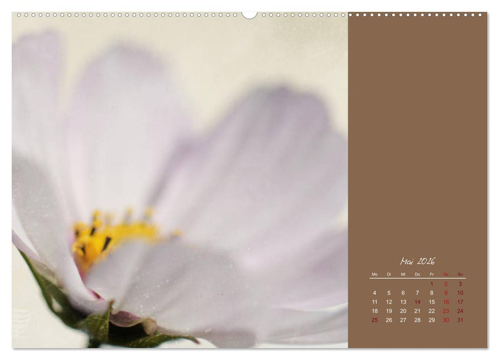 Bauernregeln für das ganze Jahr (CALVENDO Premium Wandkalender 2026)