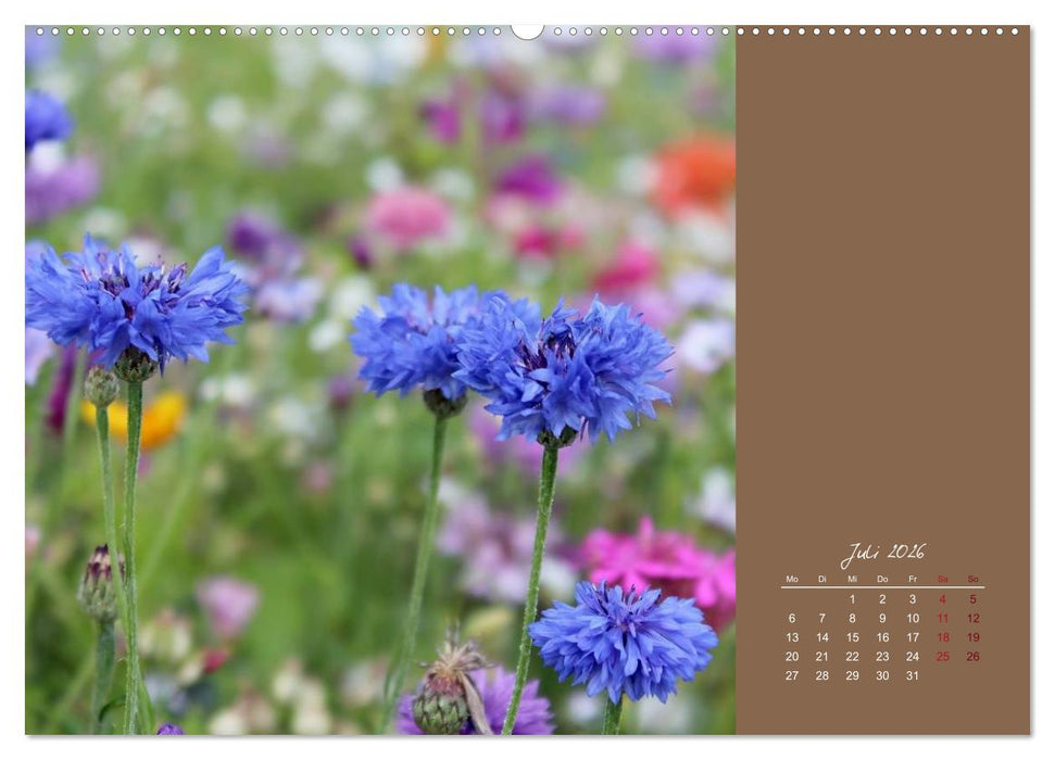 Bauernregeln für das ganze Jahr (CALVENDO Premium Wandkalender 2026)