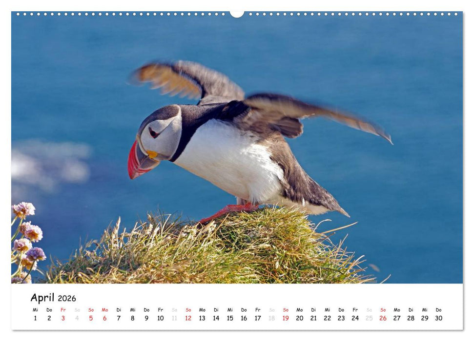 Die Lofoten - Magie des Lichtes (CALVENDO Premium Wandkalender 2026)