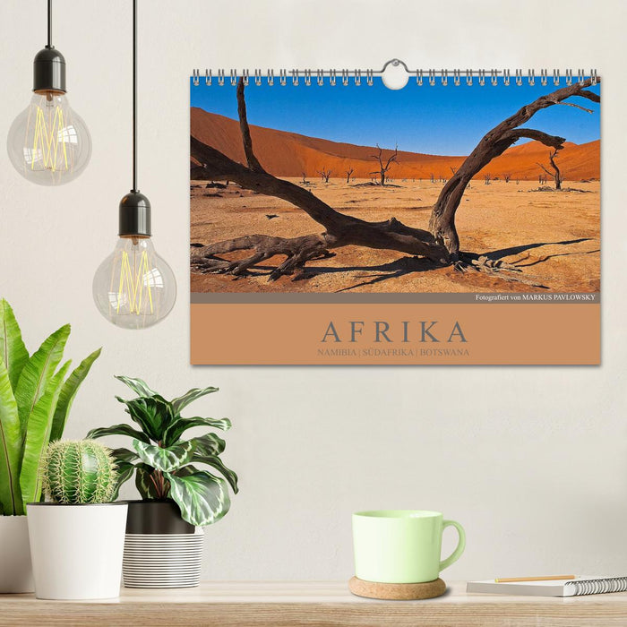 Afrika Impressionen. NAMIBIA - SÜDAFRIKA - BOTSWANA (CALVENDO Wandkalender 2026)