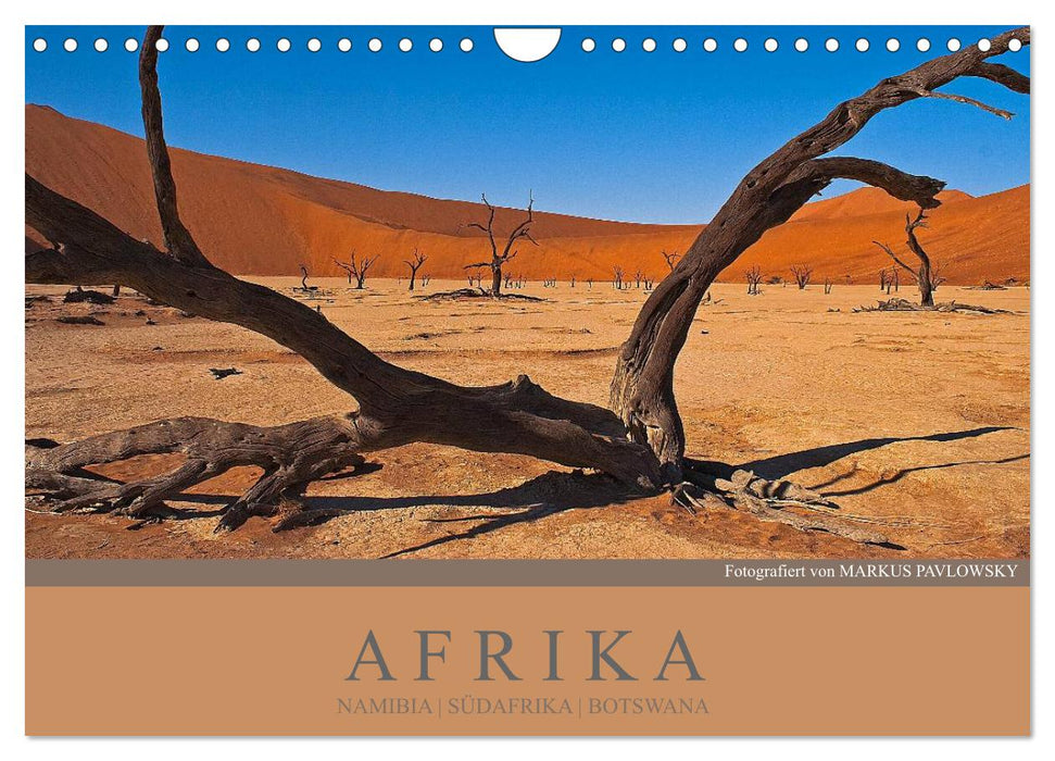 Afrika Impressionen. NAMIBIA - SÜDAFRIKA - BOTSWANA (CALVENDO Wandkalender 2026)