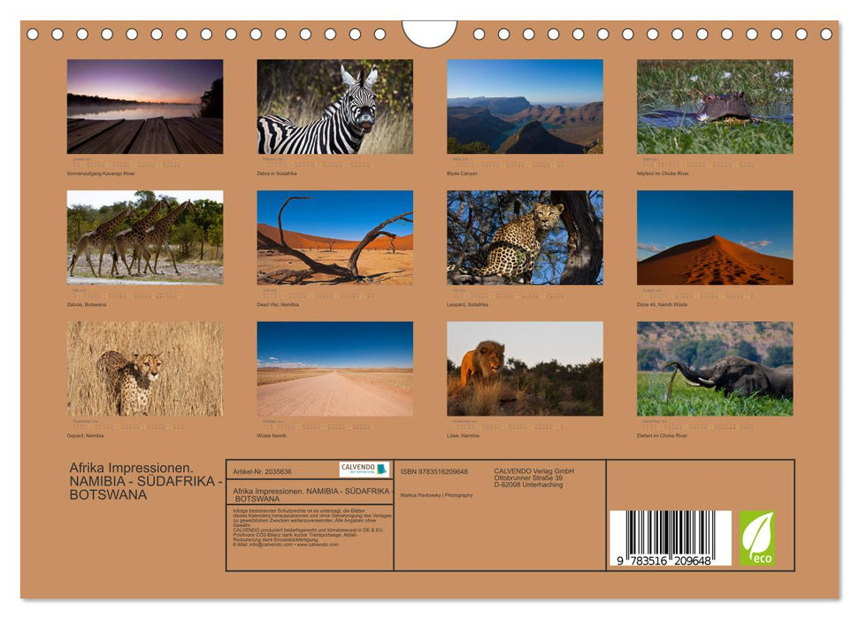 Afrika Impressionen. NAMIBIA - SÜDAFRIKA - BOTSWANA (CALVENDO Wandkalender 2026)