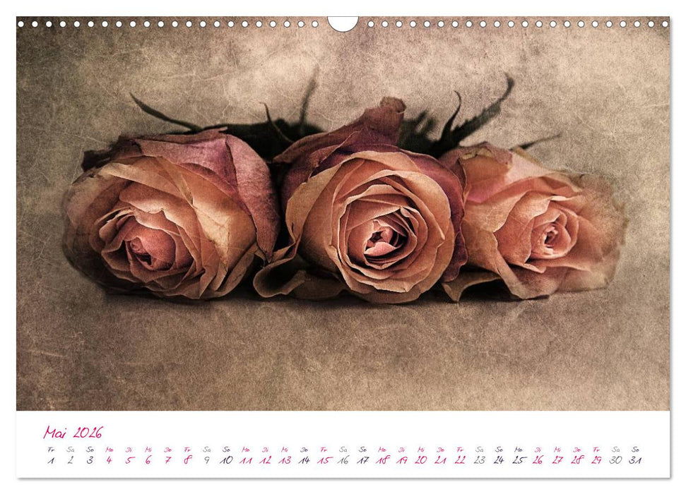 Momente in Rosa (CALVENDO Wandkalender 2026)