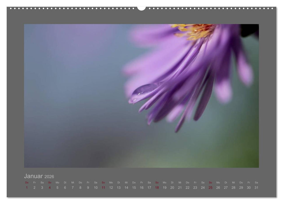 Kleine, große Tropfenwelt (CALVENDO Premium Wandkalender 2026)