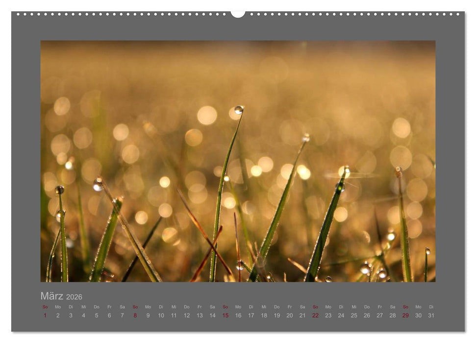 Kleine, große Tropfenwelt (CALVENDO Premium Wandkalender 2026)