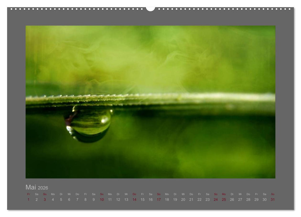 Kleine, große Tropfenwelt (CALVENDO Premium Wandkalender 2026)