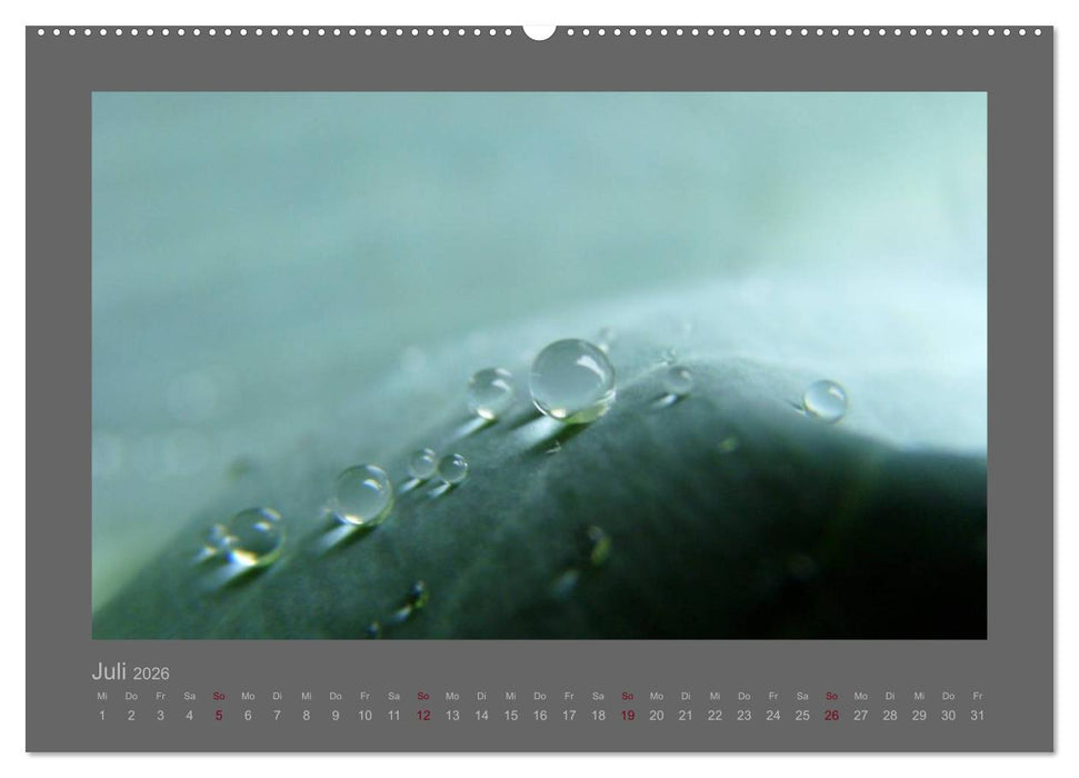 Kleine, große Tropfenwelt (CALVENDO Premium Wandkalender 2026)