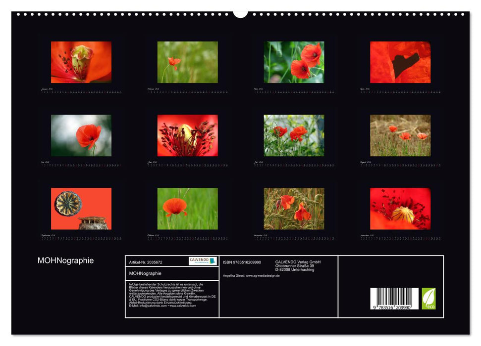 MOHNographie (CALVENDO Premium Wandkalender 2026)