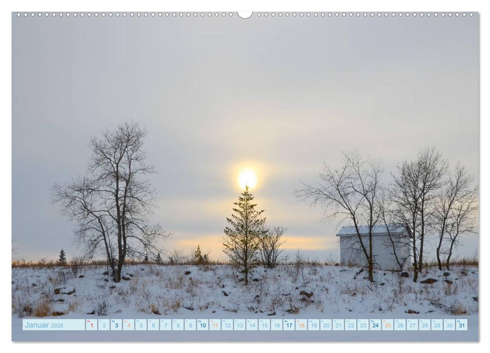 Die Sonne - 2026 (CALVENDO Premium Wandkalender 2026)