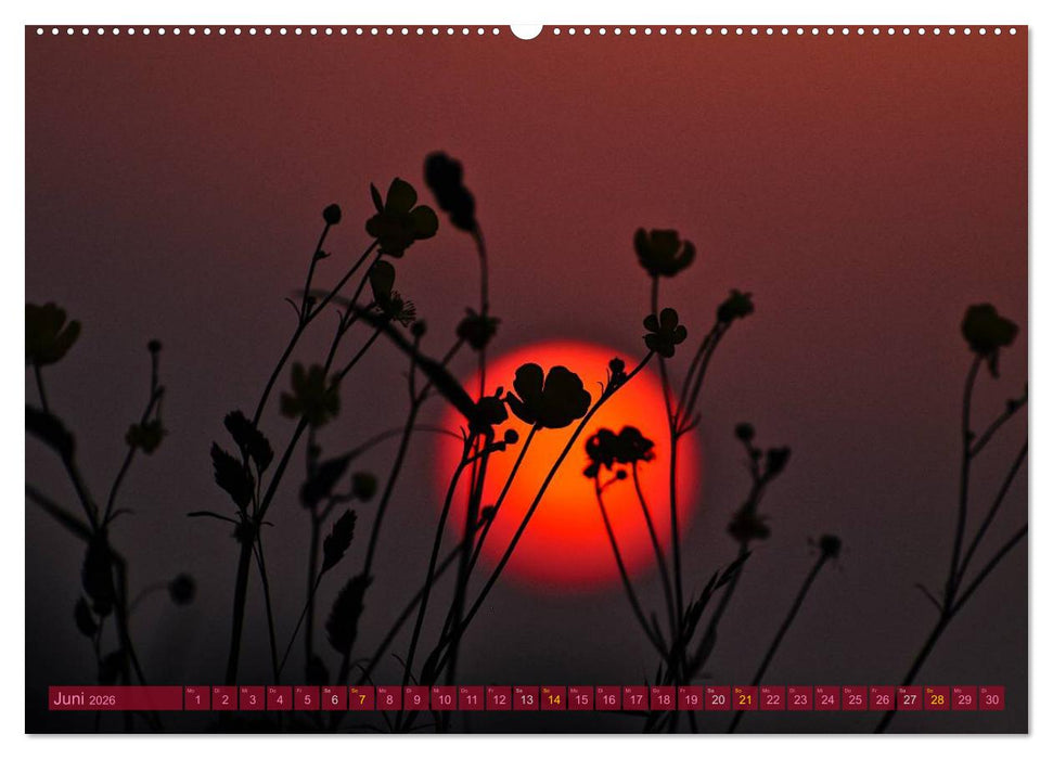 Die Sonne - 2026 (CALVENDO Premium Wandkalender 2026)