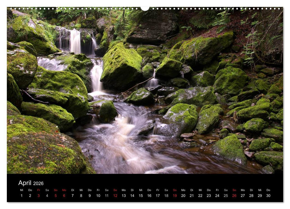 Bayerischer Wald - der Osten Bayerns (CALVENDO Premium Wandkalender 2026)
