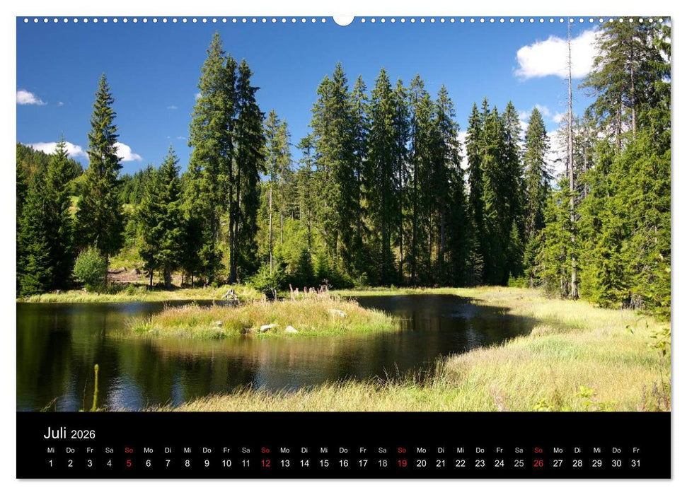 Bayerischer Wald - der Osten Bayerns (CALVENDO Premium Wandkalender 2026)