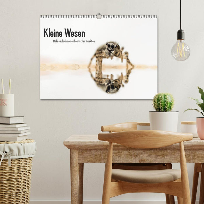 Kleine Wesen – Makroaufnahmen von einheimischen Insekten (CALVENDO Wandkalender 2026)
