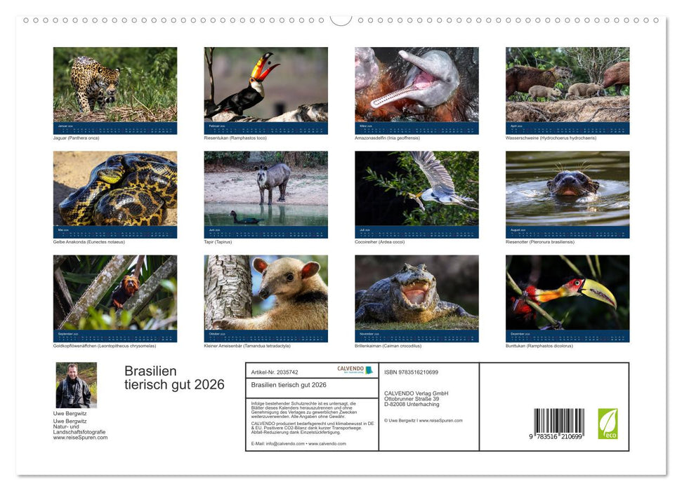 Brasilien tierisch gut 2026 (CALVENDO Premium Wandkalender 2026)