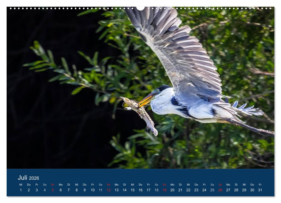 Brasilien tierisch gut 2026 (CALVENDO Premium Wandkalender 2026)