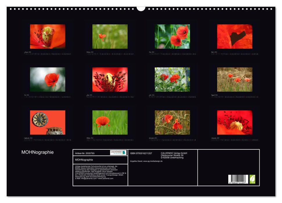 MOHNographie (CALVENDO Wandkalender 2026)