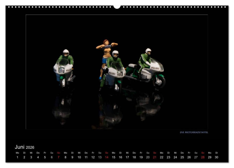 Polizeieinsätze, in der großen Welt (CALVENDO Premium Wandkalender 2026)