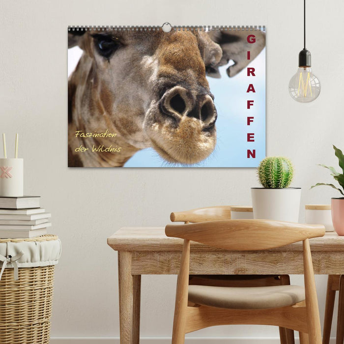 Giraffen – Faszination der Wildnis (CALVENDO Wandkalender 2026)