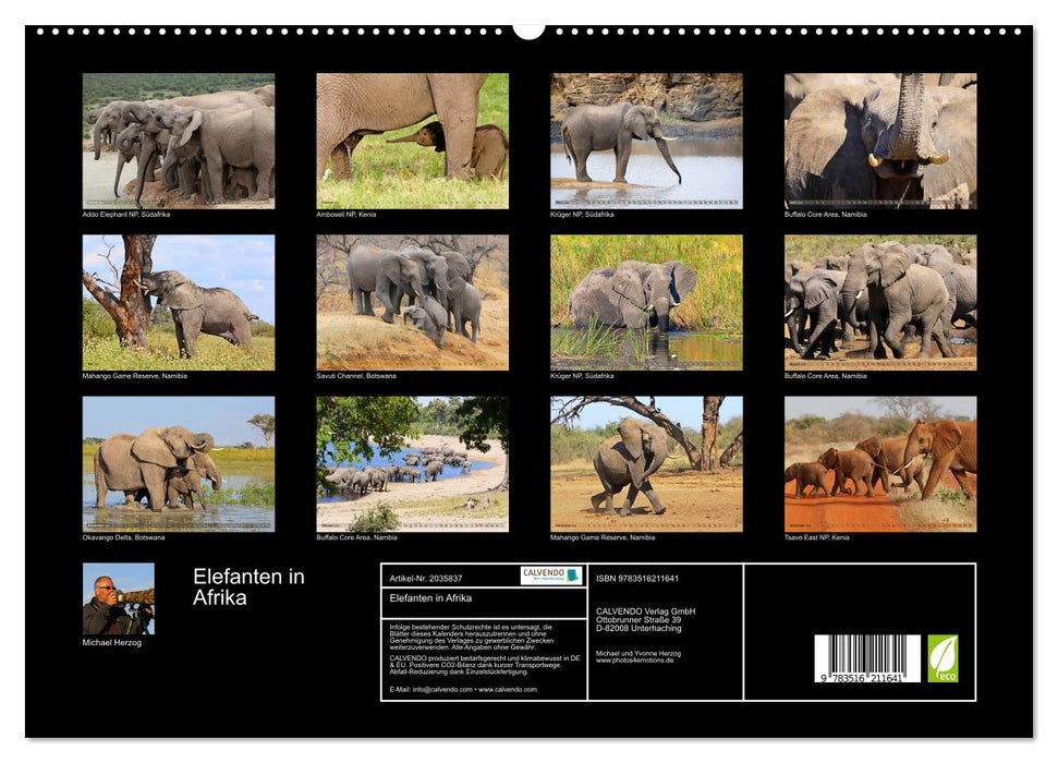 Elefanten in Afrika (CALVENDO Premium Wandkalender 2026)