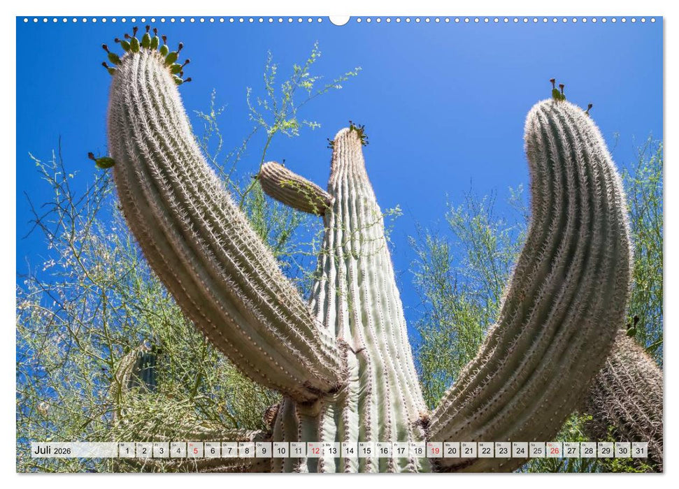 ARIZONA UND UTAH Ein einzigartiges Erlebnis (CALVENDO Premium Wandkalender 2026)