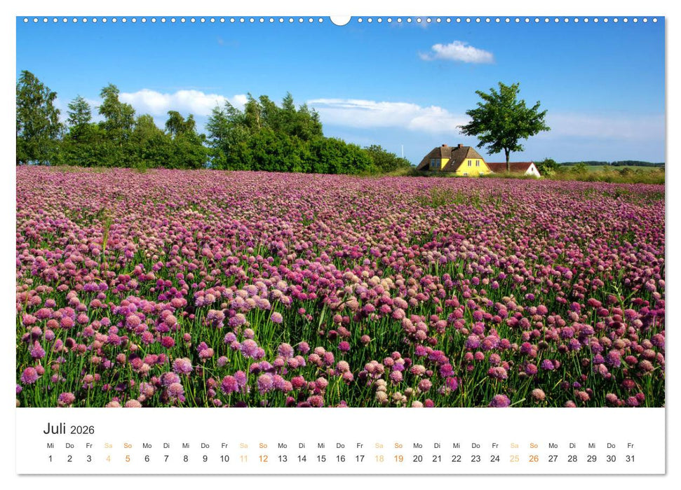 Bornholm Pur (CALVENDO Premium Wandkalender 2026)